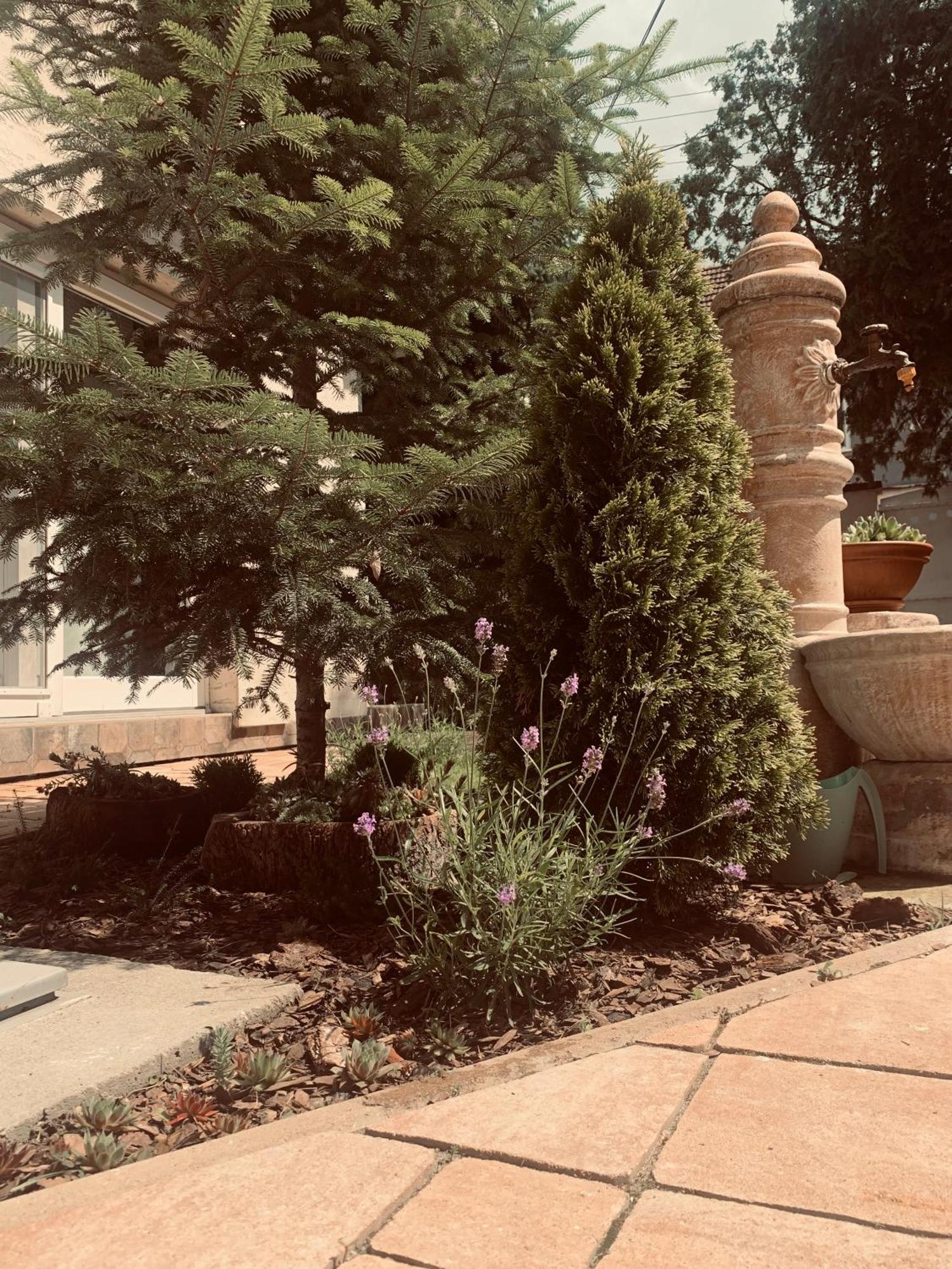 Senta La Casa Tamaris 아파트 외부 사진
